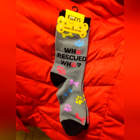 WHO RESCUED WHO SOCKS 🐕 🐈 🐦 - Picture 2 of 5